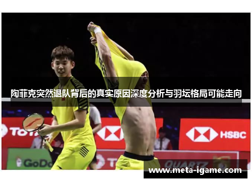 陶菲克突然退队背后的真实原因深度分析与羽坛格局可能走向