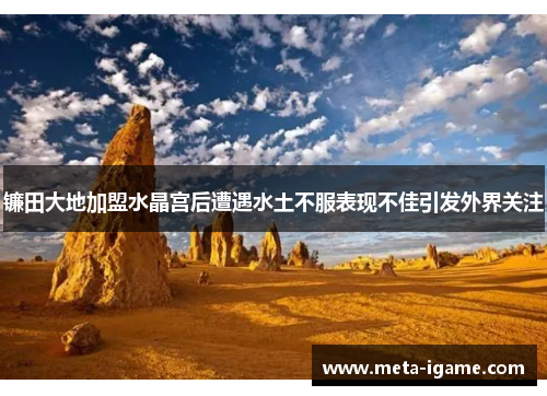 镰田大地加盟水晶宫后遭遇水土不服表现不佳引发外界关注 镰田大地加盟水晶宫后遭遇水土不服表现不佳引发外界关注