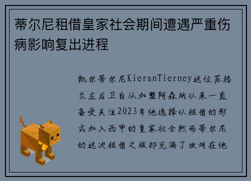 蒂尔尼租借皇家社会期间遭遇严重伤病影响复出进程