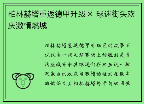 柏林赫塔重返德甲升级区 球迷街头欢庆激情燃城